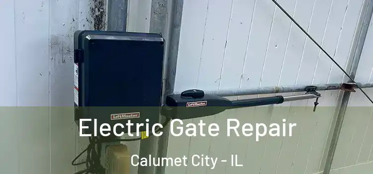 Electric Gate Repair Calumet City - IL